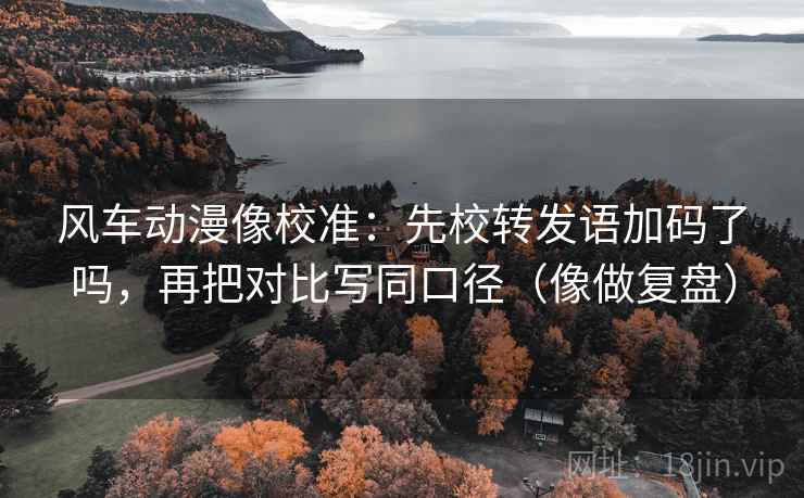 风车动漫像校准：先校转发语加码了吗，再把对比写同口径（像做复盘）