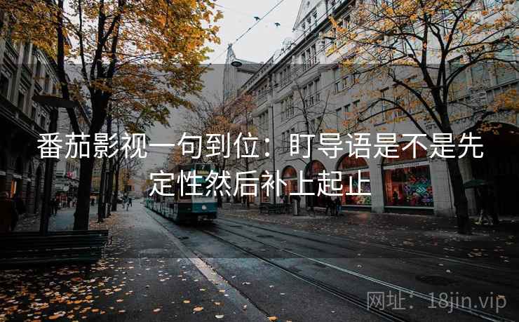 番茄影视一句到位：盯导语是不是先定性然后补上起止