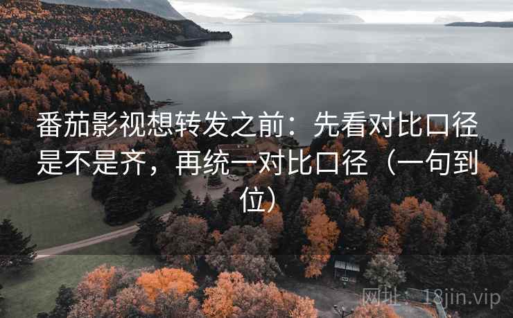 番茄影视想转发之前：先看对比口径是不是齐，再统一对比口径（一句到位）